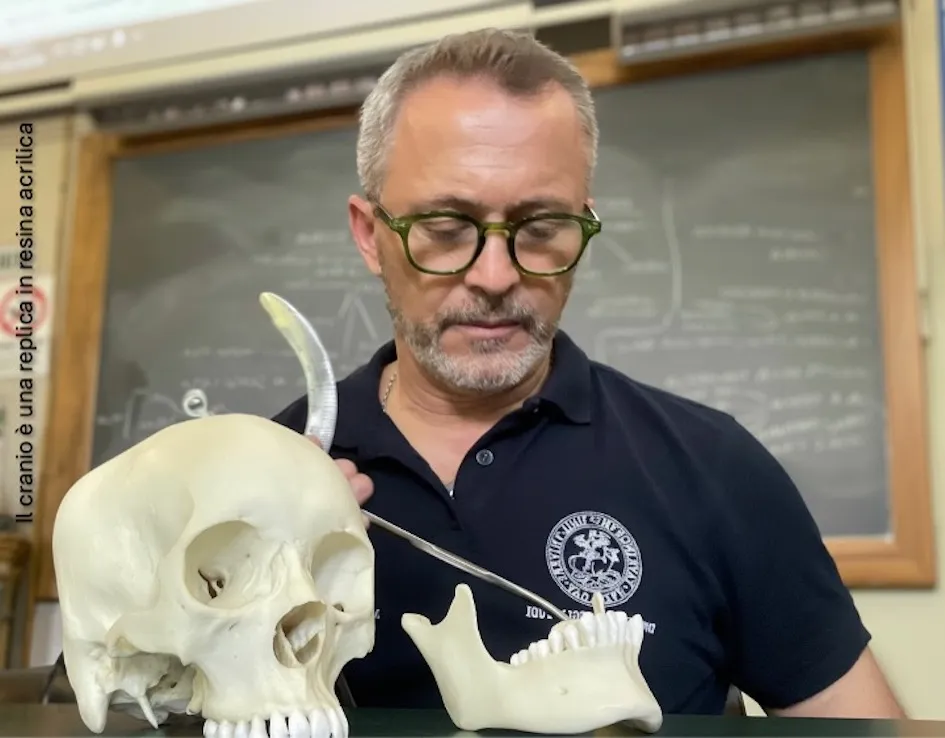Il professor Nuzzolese, a Torino come a Bari: scienza e diritti umani nel nome dell’identità perduta