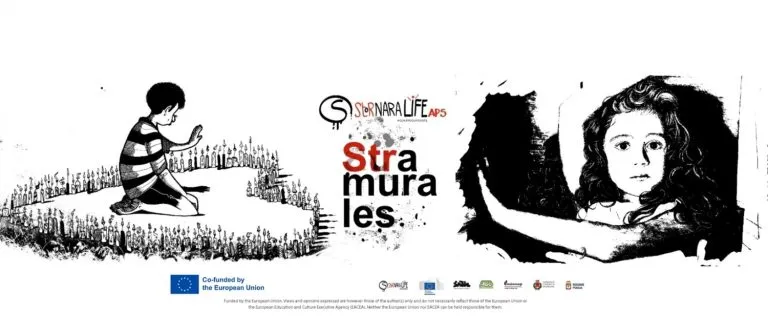 Studio sulla Harvard University riconosce Festival Italiano di Street Art Riconosciuto come Modello Innovativo per la Salute Mentale Pubblica