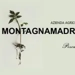 Montagnamadre: a Pescara nasce la giovane azienda agricola che custodisce i segreti della “Dispensa della Nonna”
