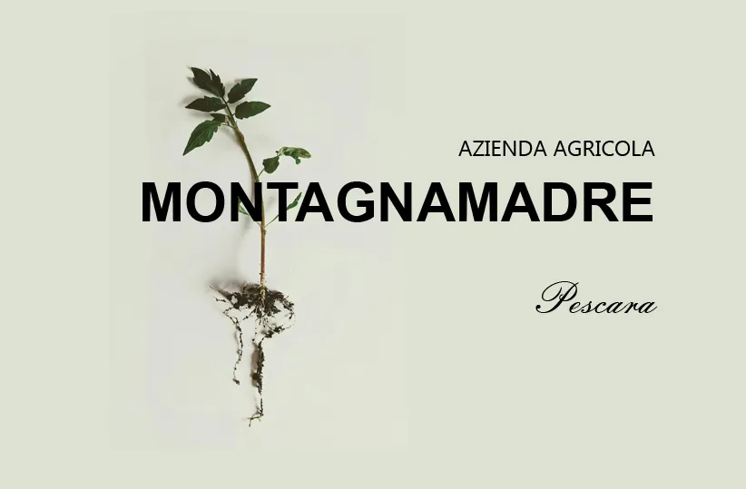 Montagnamadre: a Pescara nasce la giovane azienda agricola che custodisce i segreti della “Dispensa della Nonna”