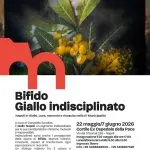 Al Maggio dei Monumenti arriva “Giallo indisciplinato”: l’energia dell’adolescenza nelle opere di Bifido a Napoli