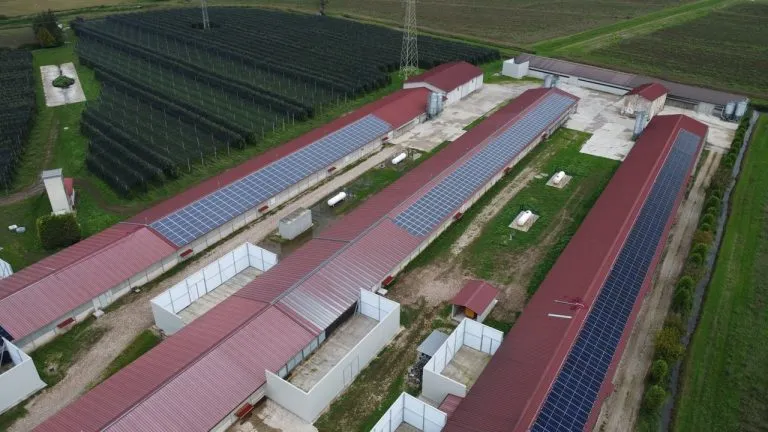 Blackout estivi: la risposta di White Energy Group
