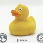 openmindz GmbH amplia la gamma di paperelle personalizzate con nuove soluzioni sostenibili