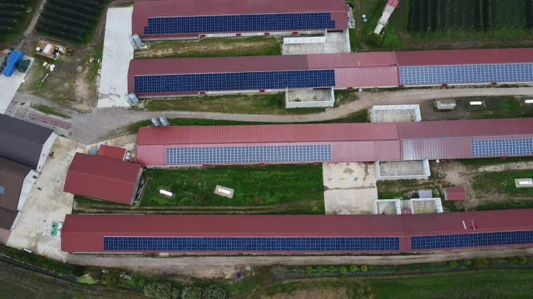White Energy Group: cinque nuovi progetti per l’agrisolare